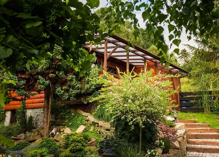 U Basi מוז'ינה