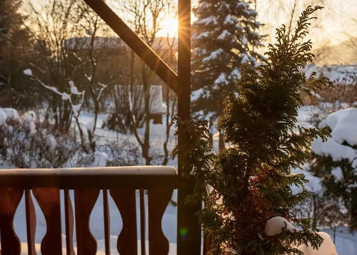 U Basi * מוז'ינה